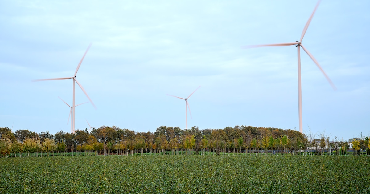 Leusden vraagt inwoners om mening over zonnevelden en windmolens