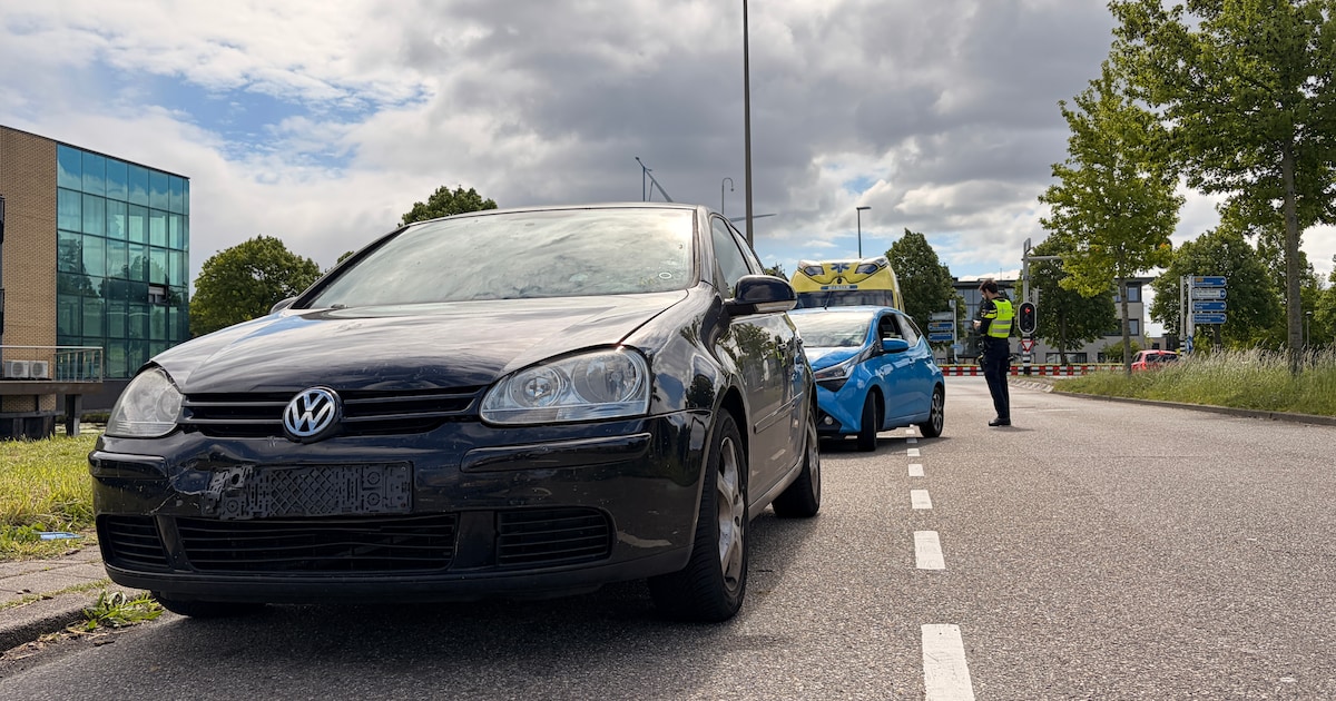 Kop-staartbotsing door overstekende ganzen in Zoetermeer