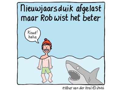 Cartoon: 'Ook in 2026 worden er weer bijzonder weloverwogen beslissingen genomen'