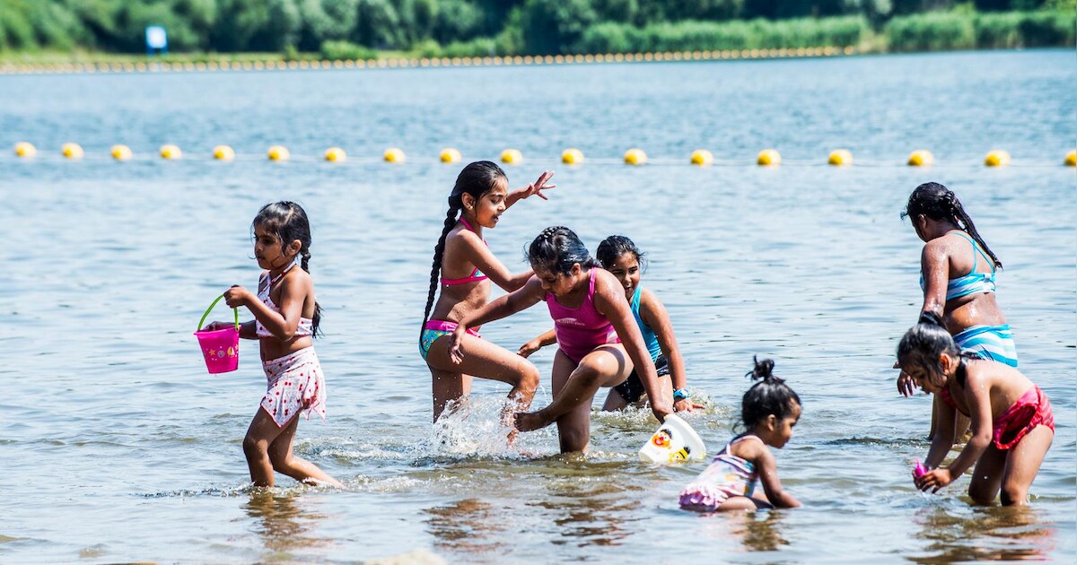 Waterschap bestrijdt blauwalg Delftse Hout met waterstofperoxide