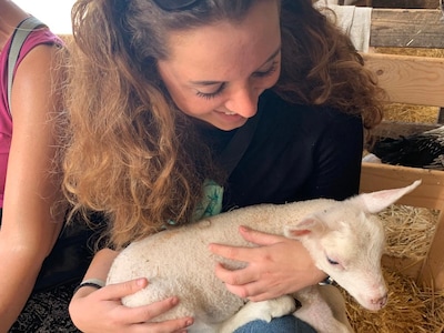 Lief! Je kunt op kraamvisite bij Schiedamse lammetjes