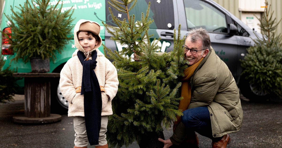 Kerst voorbij? Lever hier in Breda je kerstboom in en krijg je geld terug