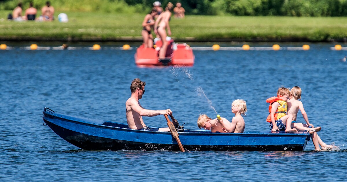 (Nog) geen blauwalg in Delftse Hout, wel in de regio