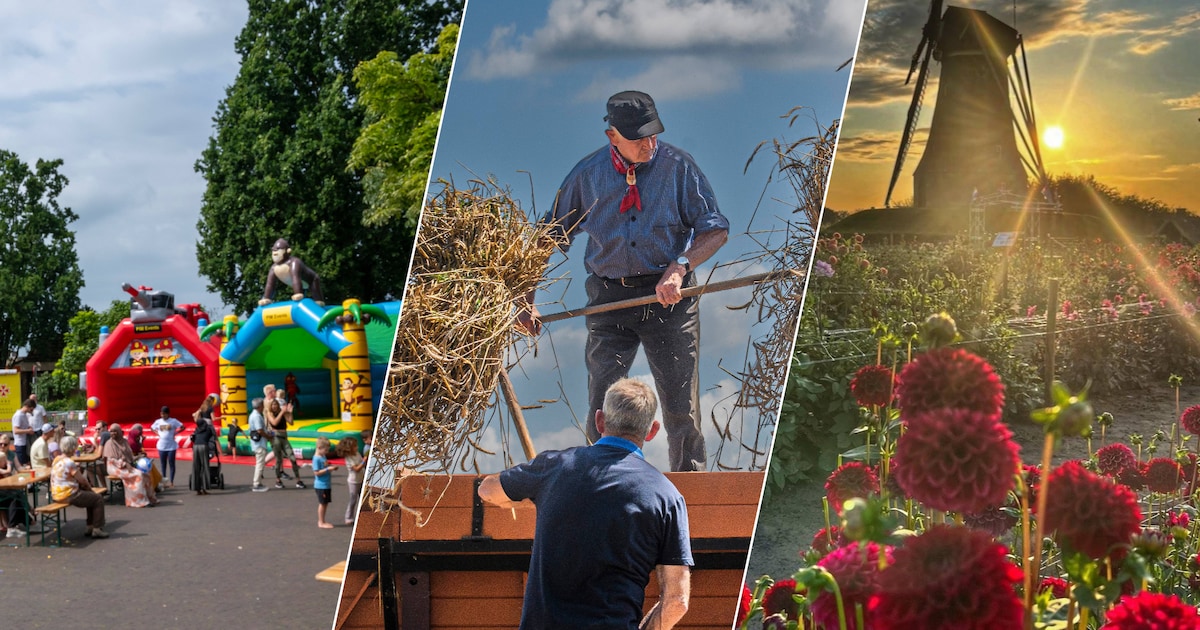 Springen, oogsten, dahlia’s, high tea en openluchtspel: zo viert Berkelland de zomer