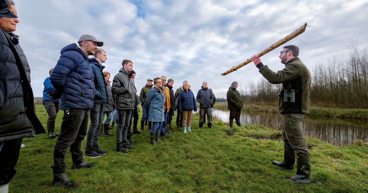 Ontdek de natuur met boswachter tijdens wandeling bij Landhotel Diever | Westerveld