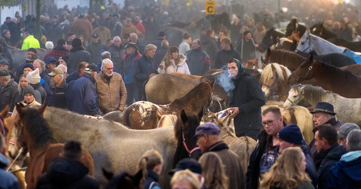 Zuidlaarder voorjaarsmarkt vindt plaats op 8 april