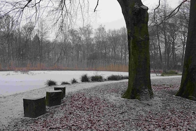 Winterexcursie in Nijmegen laat natuur zien