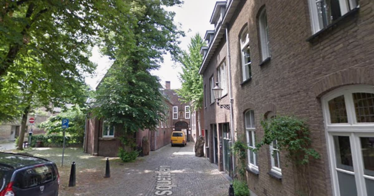 Kerstvakantie in Natuurhistorisch Museum Maastricht