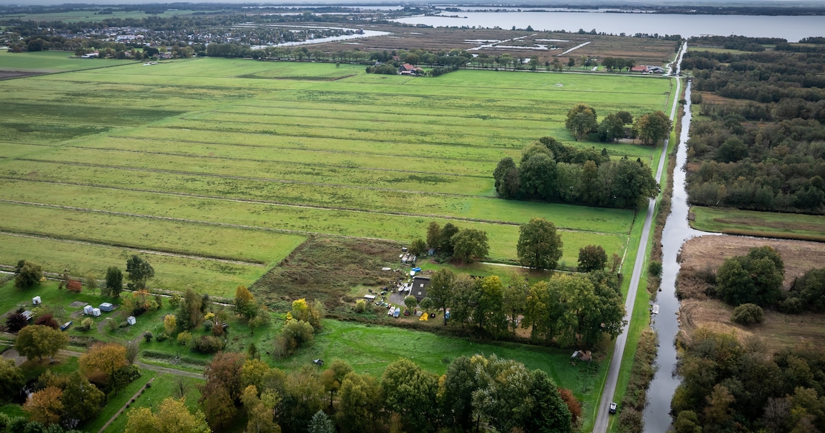 Buurt stapt naar hoogste rechter om natuurplan van provincie: ‘Dit hadden we liever niet gedaan’