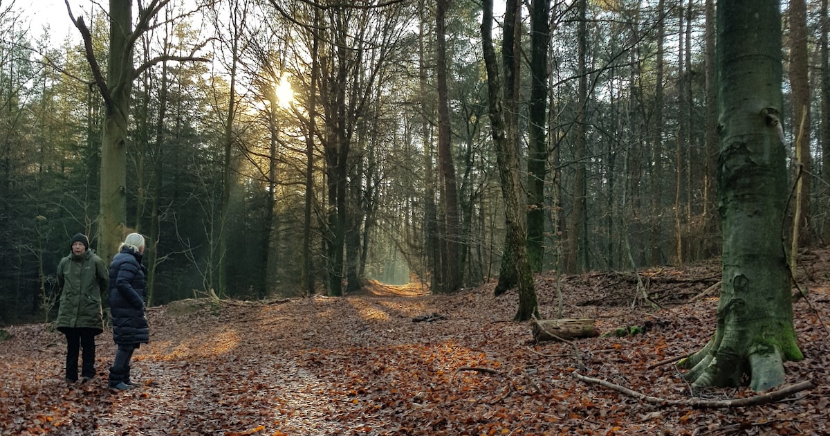Wandeling klimaatslim bosbeheer in Rozendaal