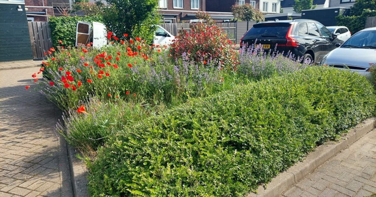 Met een beetje hulp maakten bewoners van gedeeld parkeerterrein een groene oase