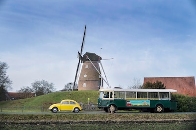 Image related to the article