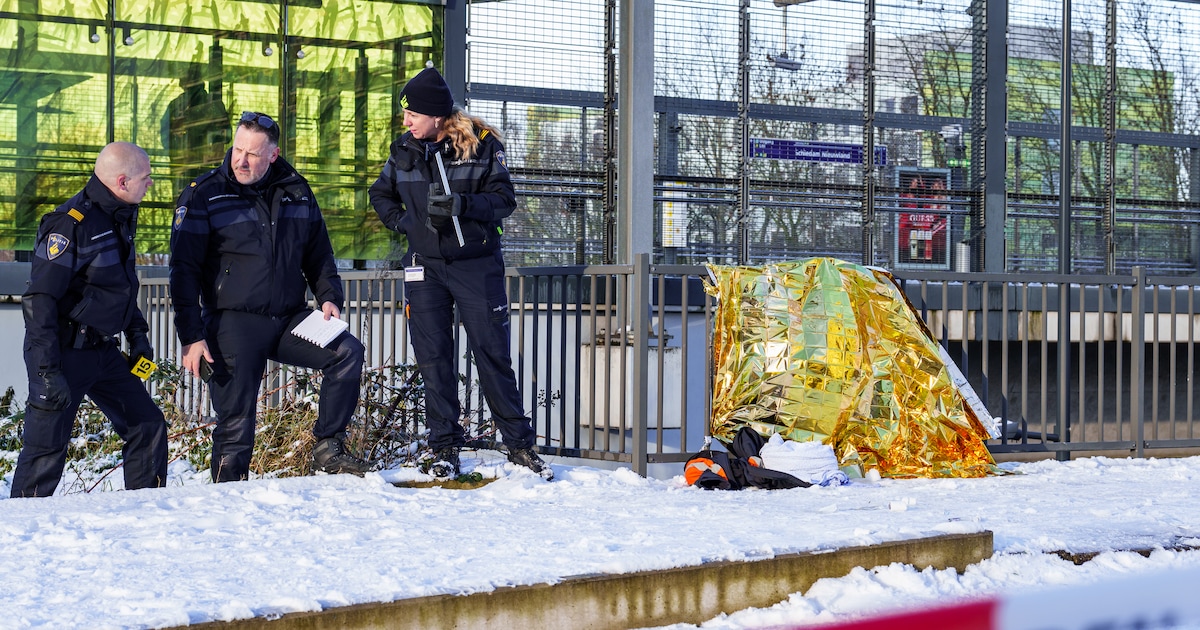 Man haalde verhaal nadat hij in auto werd bekogeld met sneeuwballen, daarna overleed hij