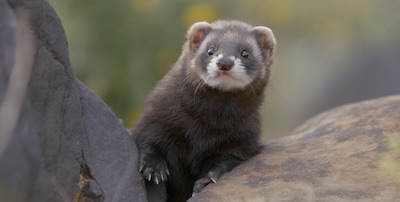Image related to the article