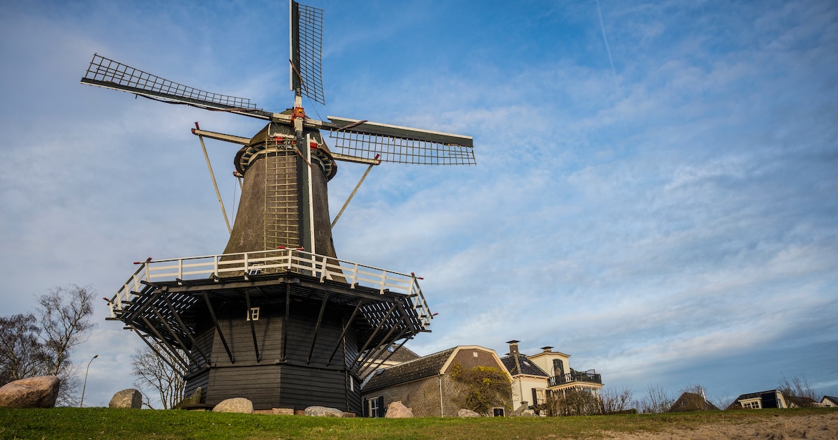 Molenstichting luidt noodklok: kosten onderhoud lopen op, subsidie stijgt niet mee