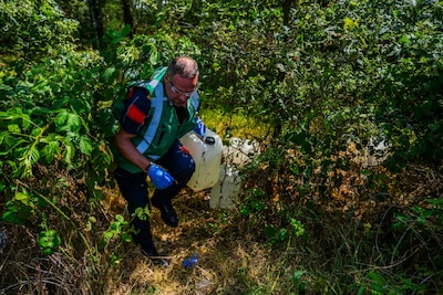 Image related to the article
