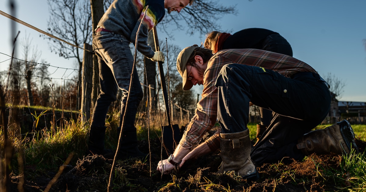 Gemeente Wijchen start beplantingsproject voor meer biodiversiteit