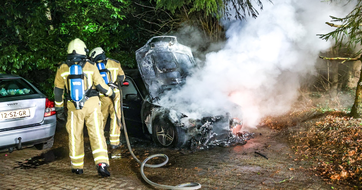 Auto uitgebrand op parkeerplaats op Holtweg in Gees