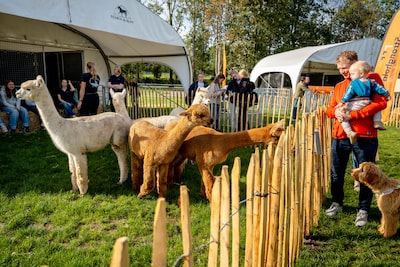 Image related to the article