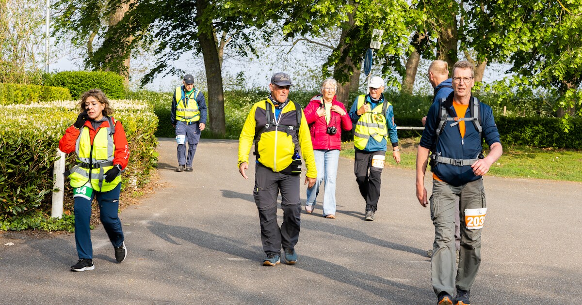 Bernard (66) loopt als snelste de xxl-wandeltocht door West-Zeeuws-Vlaanderen ‘Het is geen wedstrijd