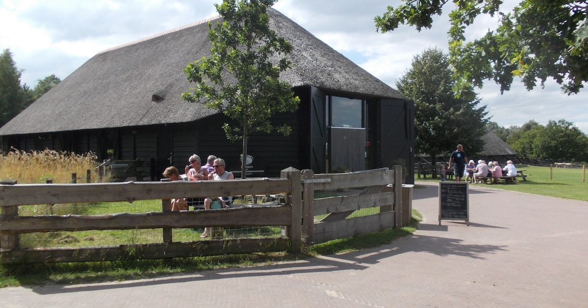 Buiten kijken naar kunstwerken met wol bij schaapskooi in Ermelo