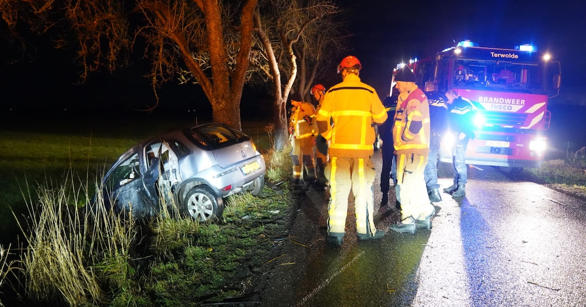 Auto raakt eerst boom en eindigt dan in de sloot bij Terwolde