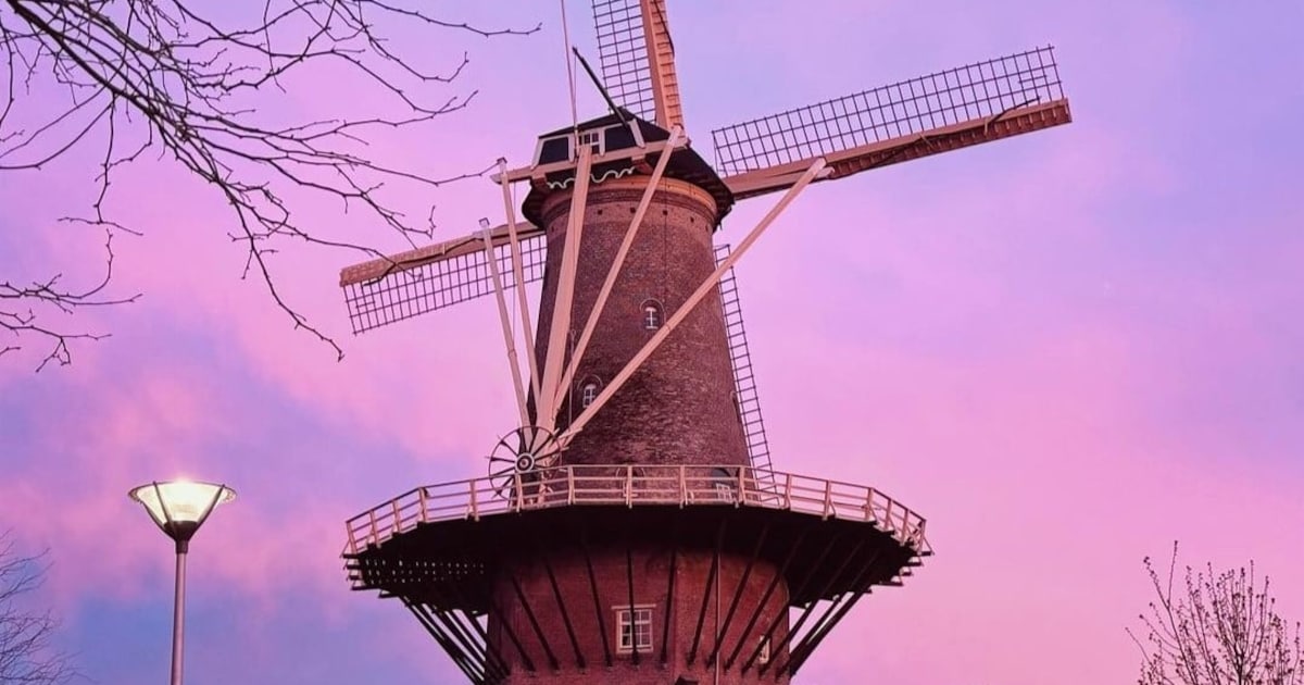 5 x deze dingen doe je deze week in Delft (10 - 13 november)