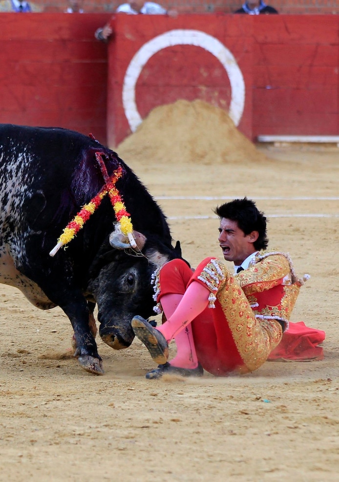 Stier doodt bekende matador (29) in Spaanse arena | Buitenland | AD.nl