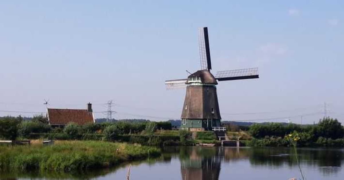 Twiskemolen in Landsmeer zoekt vrijwilligers voor Natuurwerkdag