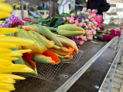 Overijsselse Vrijwilligersprijzen uitgereikt: dit zijn de winnaars