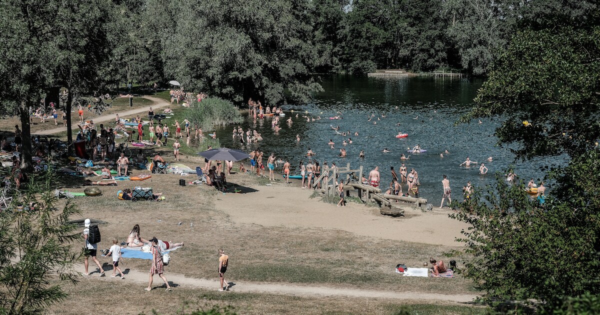 Waarschuwing voor blauwalg bij recreatieplas De Breuly in Zevenaar