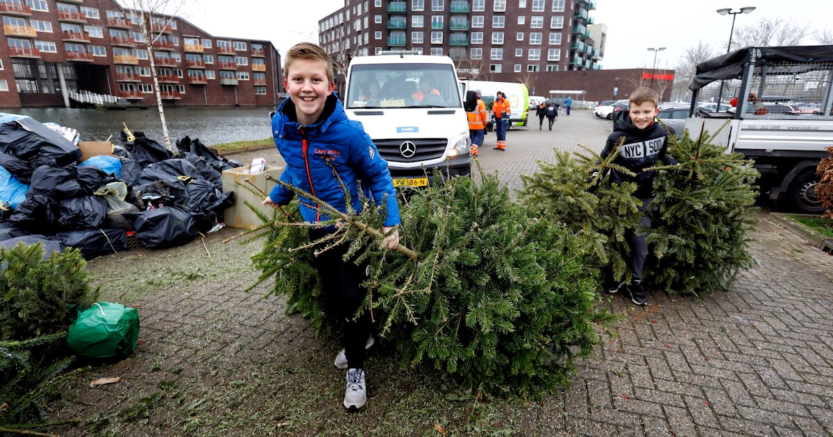 Kerstbomeninzameling Westerkwartier afgelast door gladheid