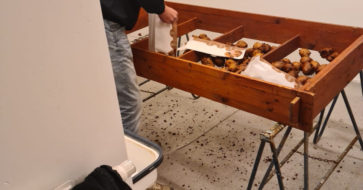 Geen oliebol te krijgen in Blokzijl: verkoop van voetbalclub gaat harder dan ooit