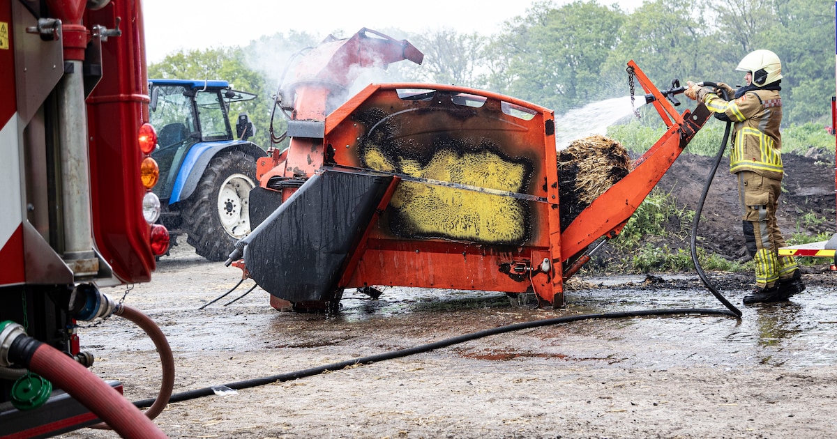 Stalbrand in Notter loopt met sisser af: na uur staan koeien er weer in