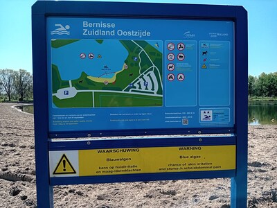 Toch weer blauwalg in Bernisse, ondanks pijp voor meer stromend water