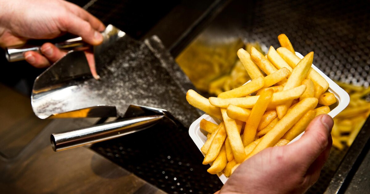 Veel snackbars in de buurt: meer obesitas | Delft