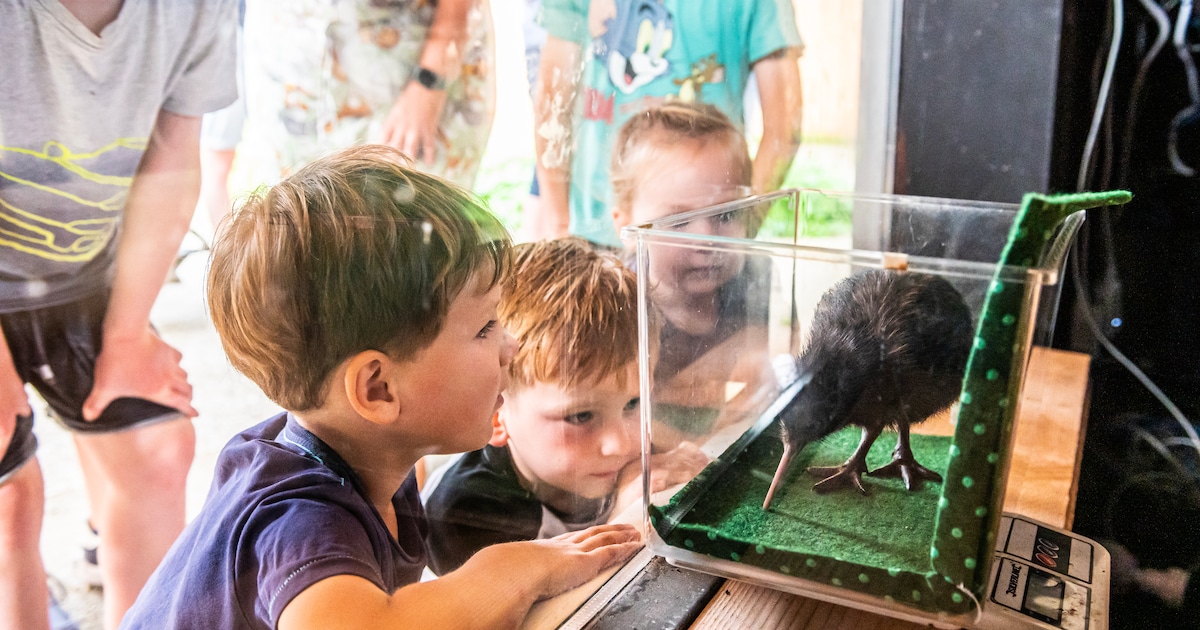 Vogelpark Avifauna weer kandidaat voor ‘leukste uitje van Nederland’