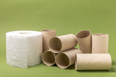 Smart invention: coreless toilet rolls can save up to 3 billion tubes