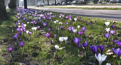 Image related to the article