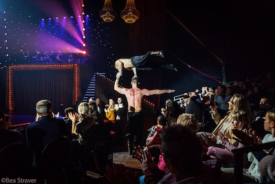 Van kerstwintercircus tot knutselen: dit kun je doen tijdens de kerstvakantie in Eindhoven