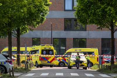 Image related to the article
