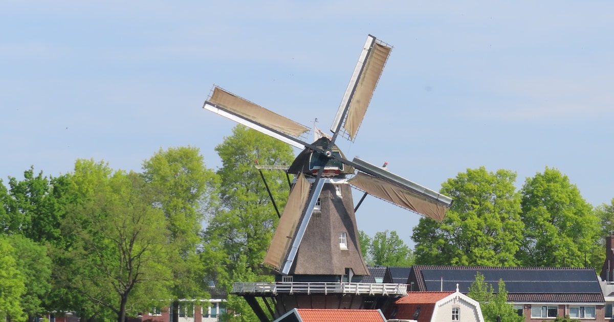 Deze zes molens in de regio Amersfoort zijn zaterdag open tijdens Nationale Molendag