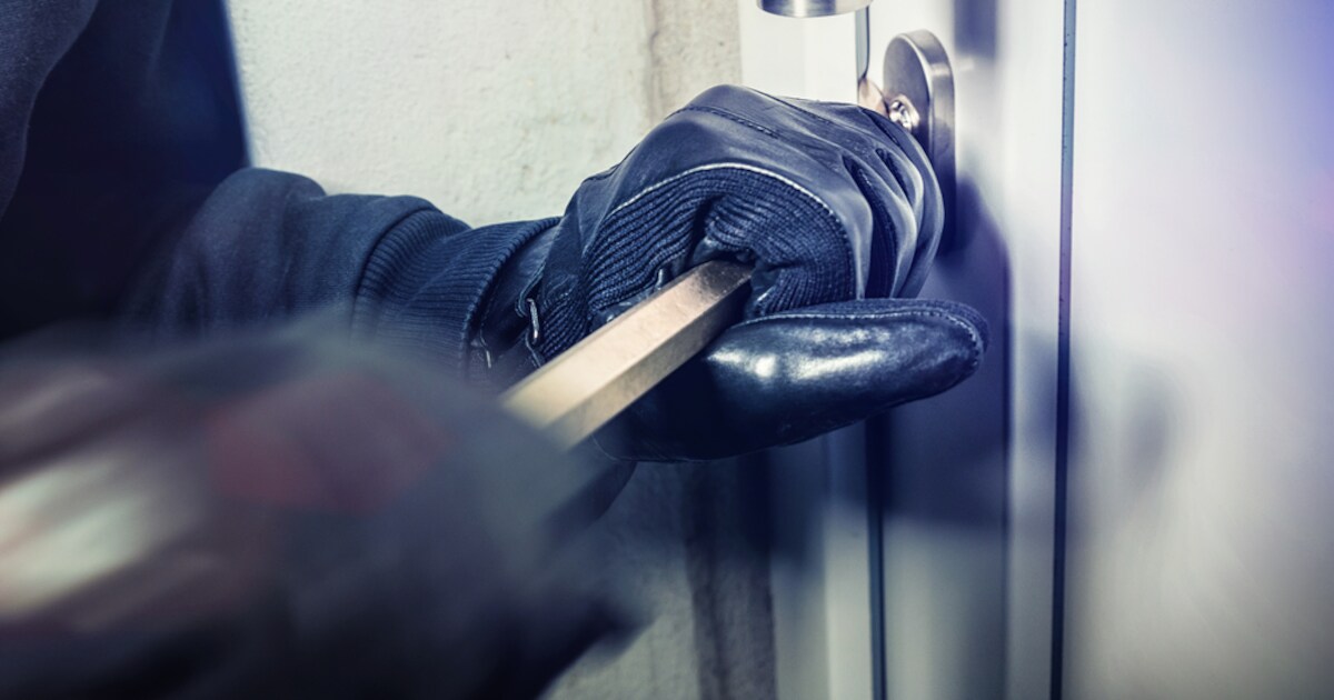 Buren betrappen inbrekers op heterdaad in Zielhorst