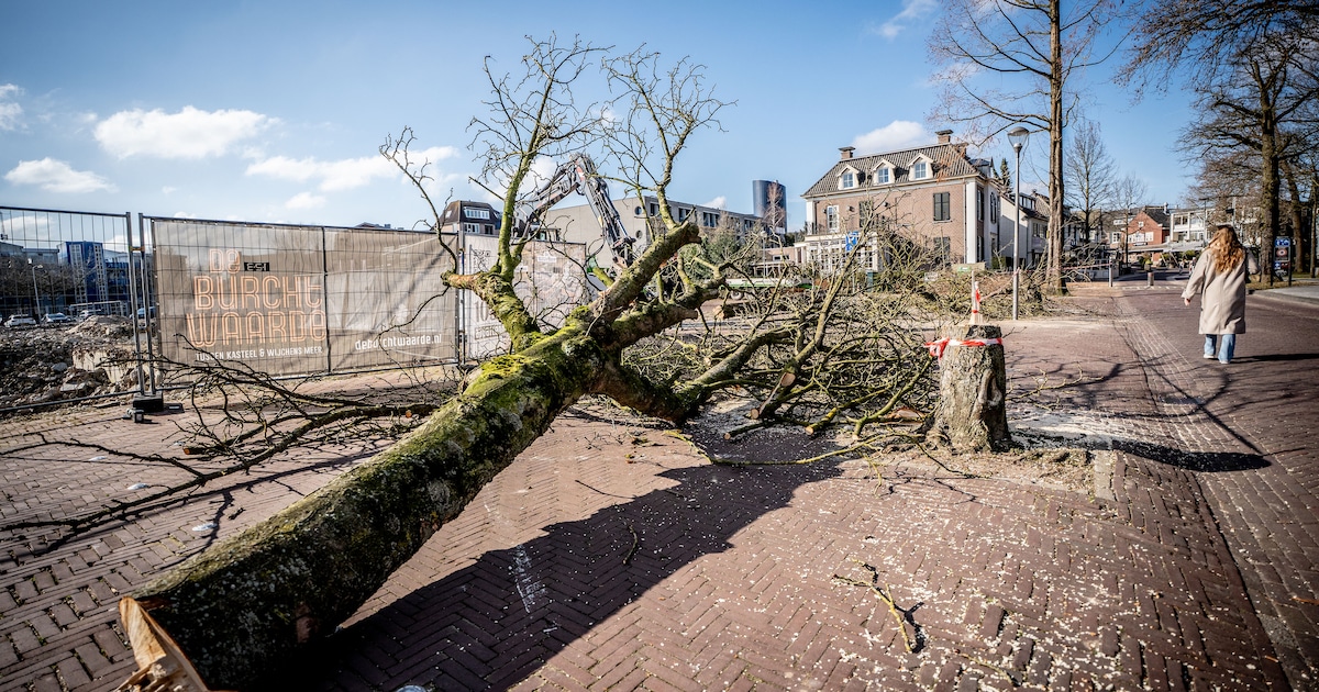 Waddinxveen wil natuur ook een stem geven in alle plannen