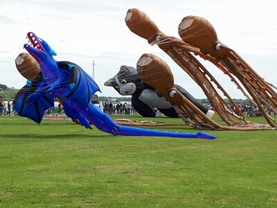 Spijkenisse maakt zich op voor vliegerfestival op Maasboulevard