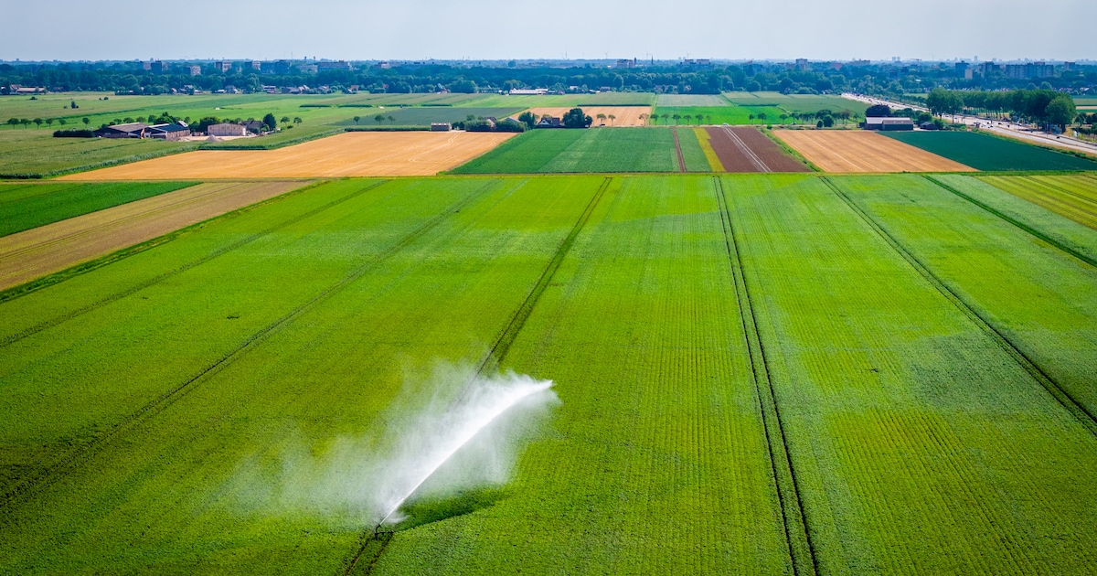 Waterverbod donderdag opgeheven: zoetwater weer aangevuld door regen en minder hitte