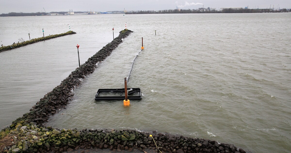 Shoreliner maakt einde aan plasticsoep op oevers in Strijensas