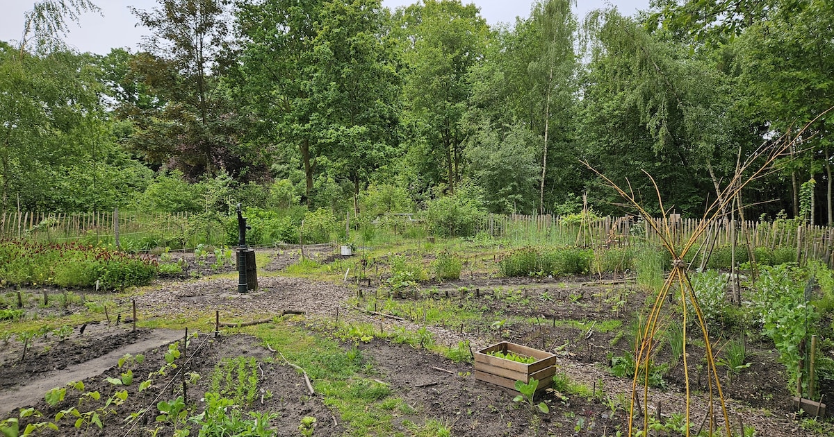Ton en Marianne openen poort van tuin in Soest tijdens Open Tuinendag