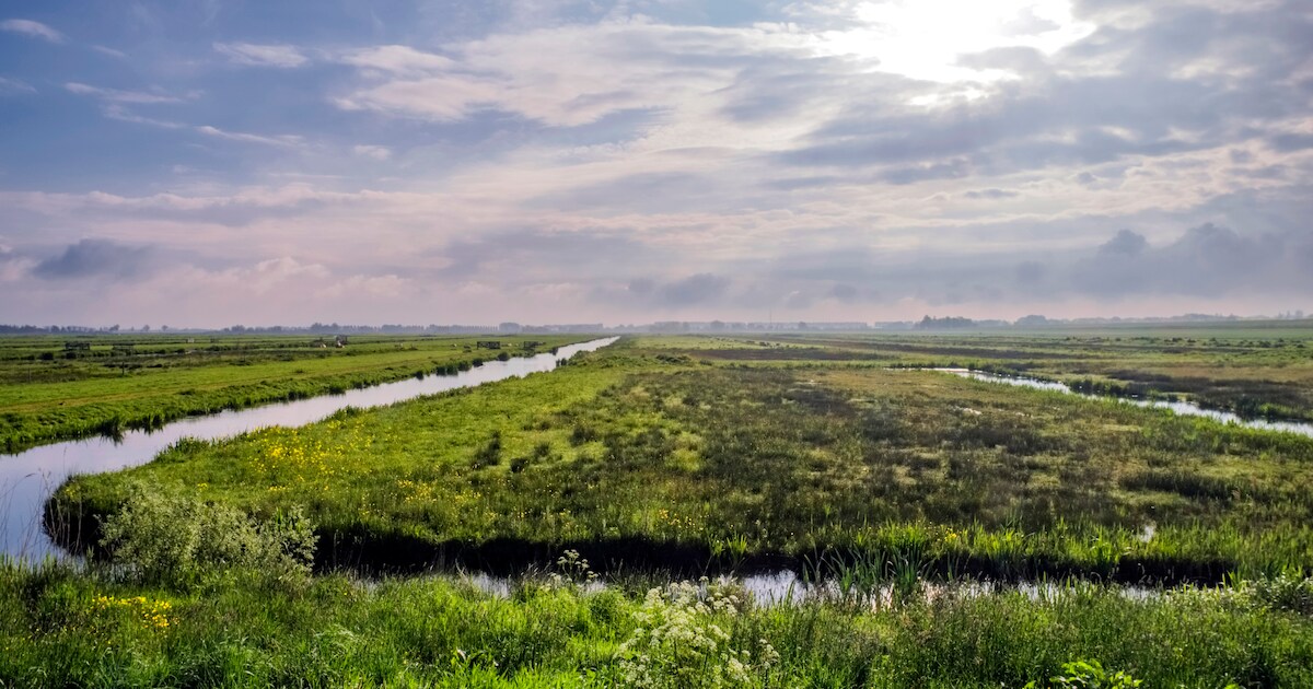 Fluisterboten varen weer over de ijskoude Nieuwkoopse Plassen