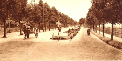 Even uitpuffen van een wandeling: van al die fraaie, betonnen stadsbanken in Amersfoort zijn er nog 